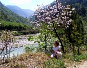 Daisy in India